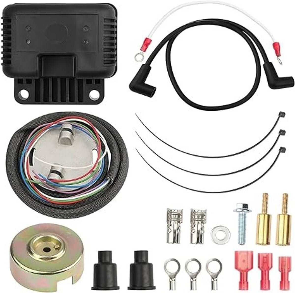 Bethesda Industrial Single Fire Programmable Ignition Kit For 1970-03 Harley-Davidson Big Twin Evo