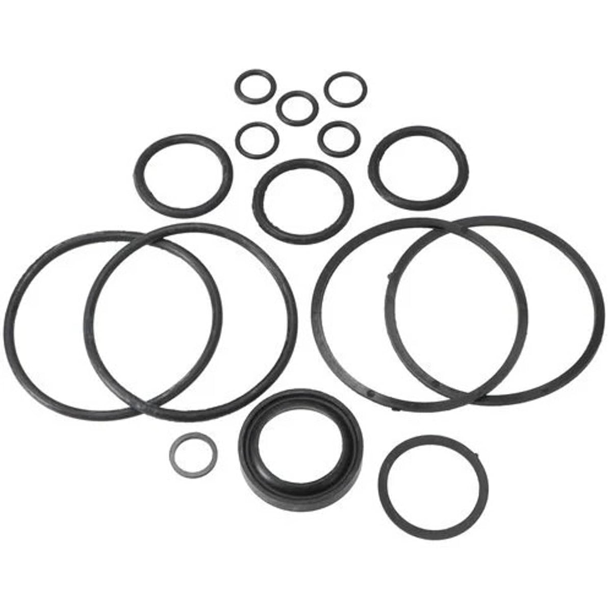 Bethesda Industrial Repair Kit for Hydraulic Lift Cylinder RC100