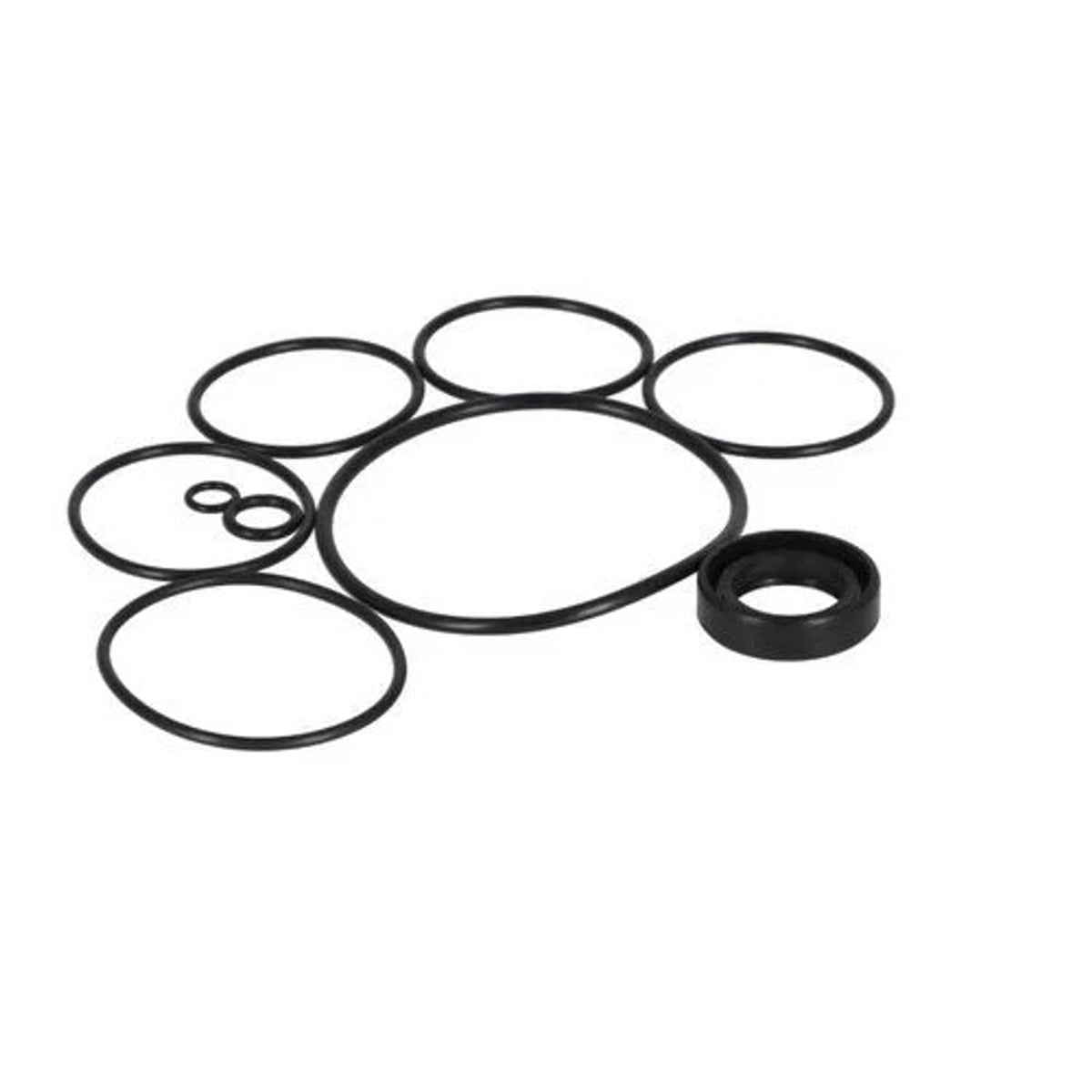 Bethesda Industrial Power Steering Seal Kit fits Ford 4000 4600 C9NN3747A fits Case IH EGPN3N503AA