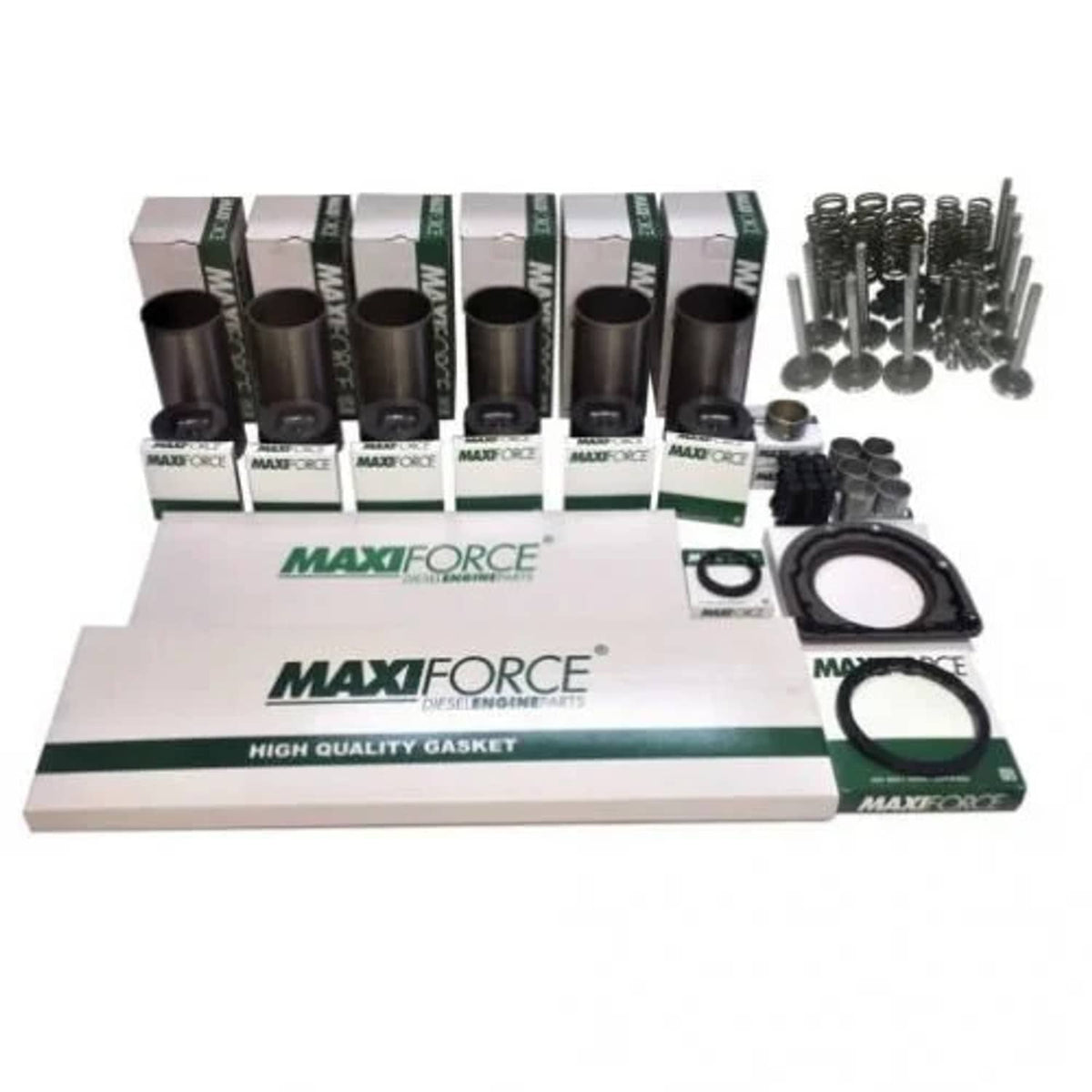 Bethesda Industrial Engine Rebuild Kit with Valve Train - Less Bearings - ESN 557977X-later