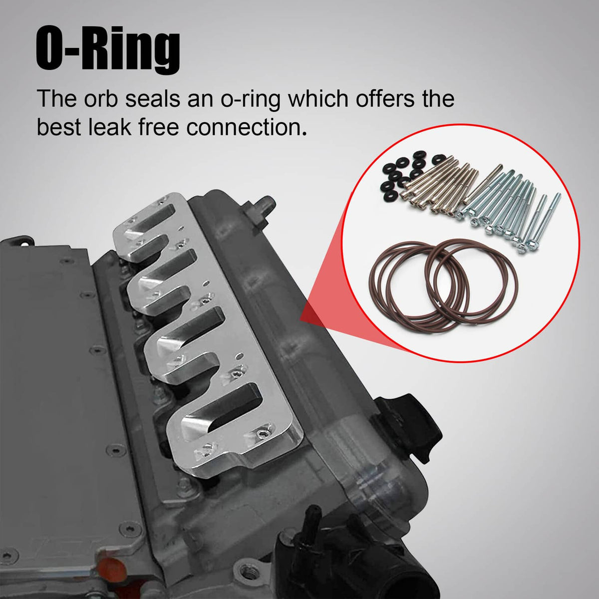 Bethesda Industrial LS Cathedral Port Cylinder Head to Rectangle Port 92mm 102mm Intake Manifold