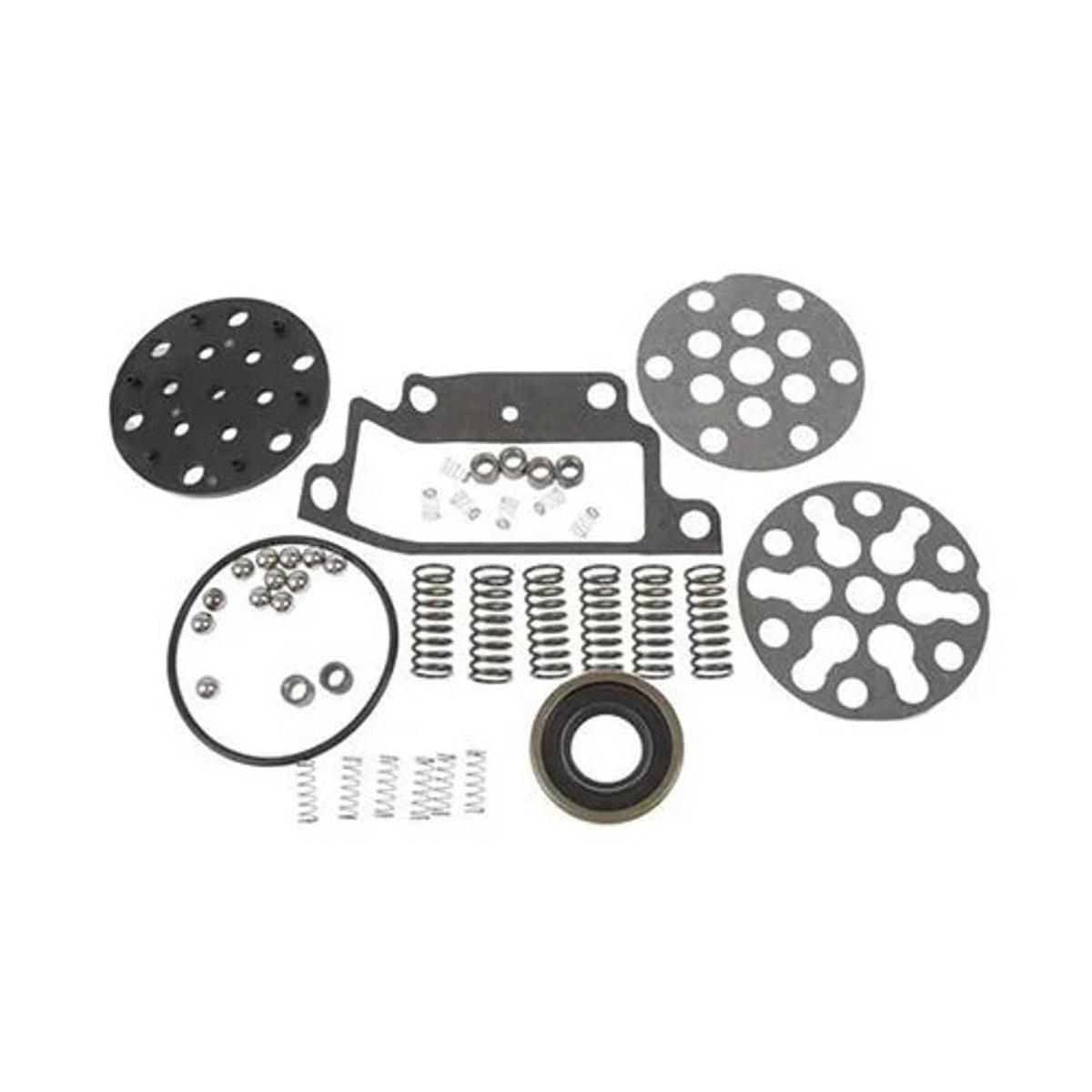 Bethesda Industrial Hydraulic Pump Repair Kit - 5.6 GPM fits Ford 3000 4000 C5NN600-AA