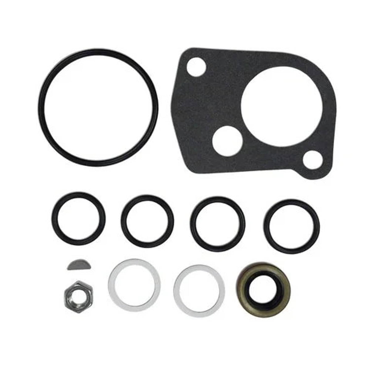 Bethesda Industrial Thompson Hydraulic Pump Gasket O-Ring and Seal Kit