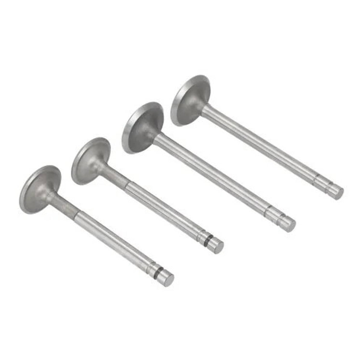 Bethesda Industrial Intake Valve Set fits Massey Ferguson 65 165 830761M91 1019742M1