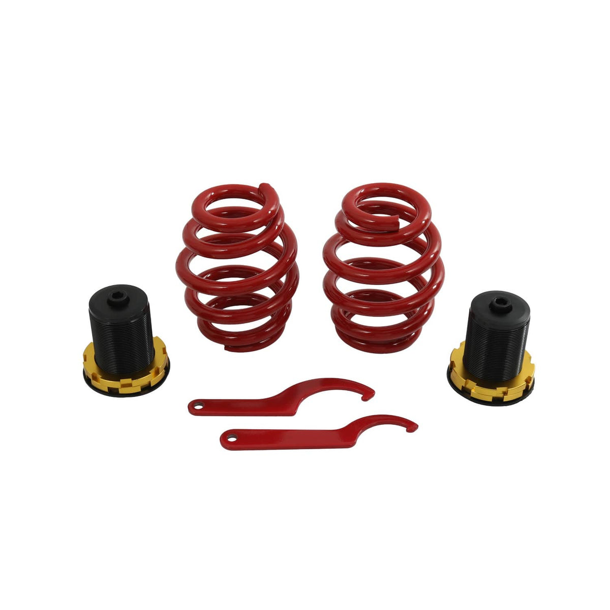 Bethesda Industrial JDMSPEED Coilovers Kit Fit BMW 3 Series Z3 E36 318 323 325 328i 328is