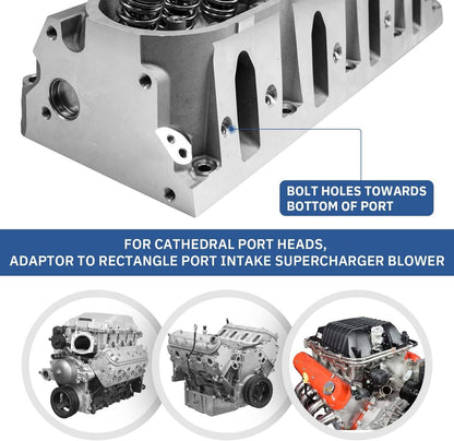 Bethesda Industrial LS Cathedral Port Cylinder Head to Rectangle Port 92mm 102mm Intake Manifold