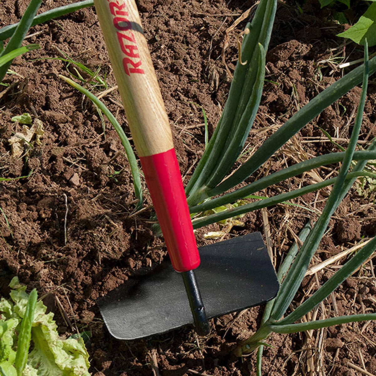 Bethesda Industrial Razor-Back 71112 Cotton Hoe with 60-inch Wood Handle