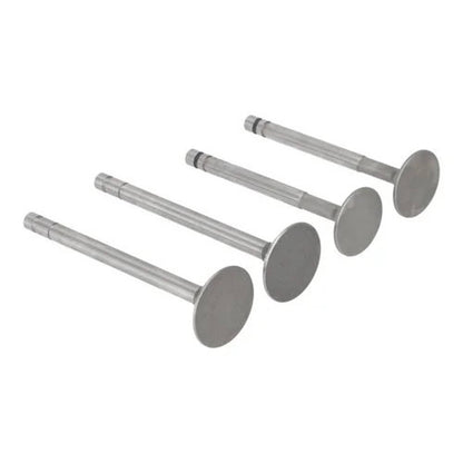 Bethesda Industrial Intake Valve Set fits Massey Ferguson 65 165 830761M91 1019742M1